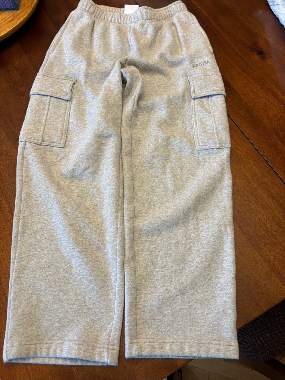 Aritzia Grey Cargo Track Pants with Elastic Waist